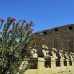 temple_karnak_lux_h_0560_egy3533.jpg